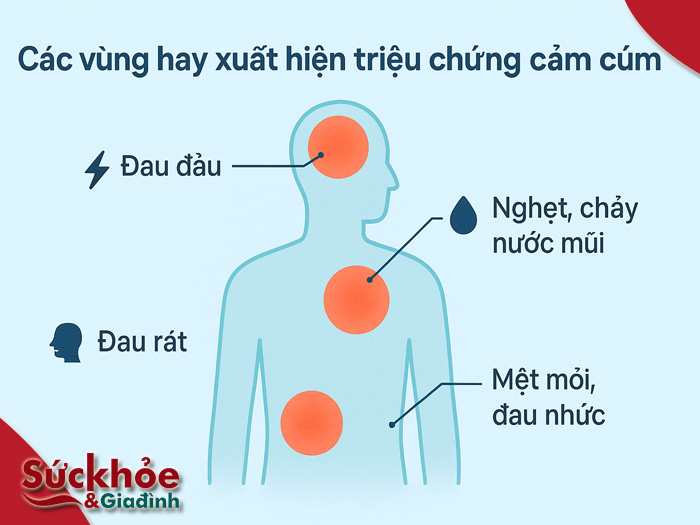 Bệnh cảm cúm là gì? Các triệu chứng cảm cúm thông thường