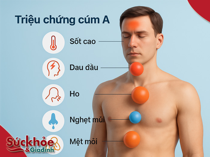 Bệnh cúm A là gì? Các triệu chứng cúm A dễ nhận biết