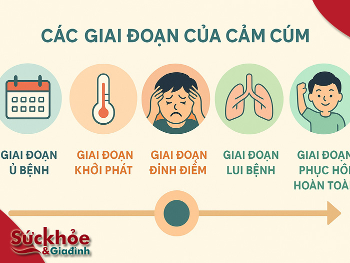 Đang bị cảm cúm có nên thụ thai không theo khuyến cáo bác sĩ