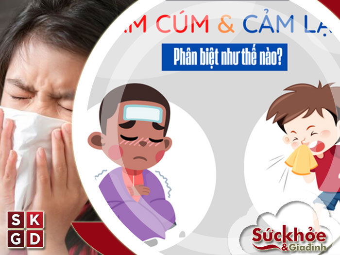 Cách phân biệt triệu chứng cảm cúm và cảm lạnh