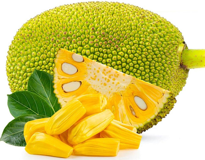 Cây mít là gì? đặc điểm, hoa, quả và giá trị dinh dưỡng của mít