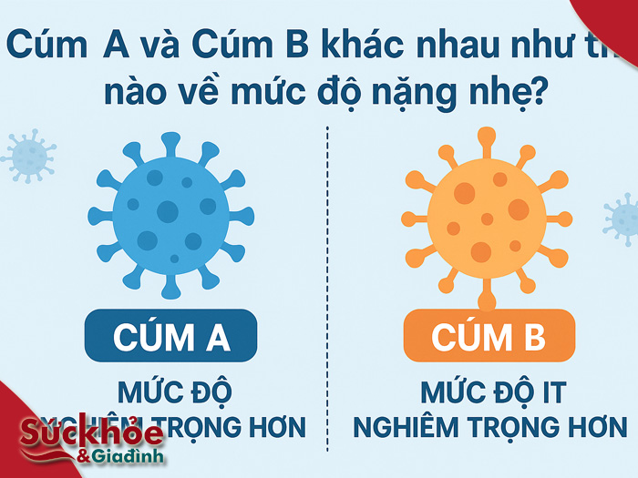 Cúm A và cúm B khác nhau như thế nào về mức độ nặng nhẹ?