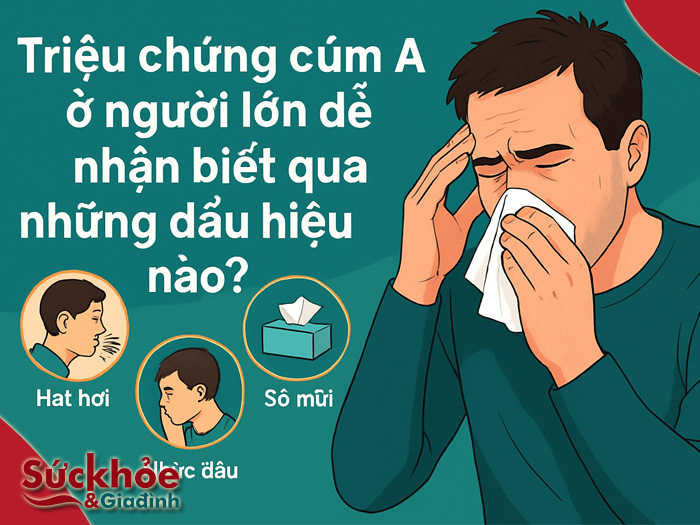 Triệu chứng cúm A ở người lớn dễ nhận biết qua những dấu hiệu nào?