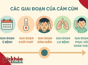 Các giai đoạn của cảm cúm từ khởi phát đến hồi phục - Sức khỏe và Gia đình
