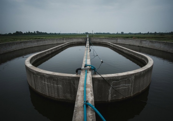 Hướng dẫn quy trình kỹ thuật nuôi cá lóc trong bể xi măng - Sức khỏe và Gia đình