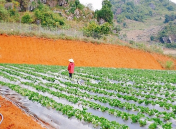 Khám phá ứng dụng màng sinh học trong công nghiệp và môi trường
