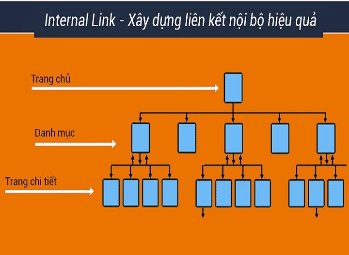 liên kết nội bộ SEO