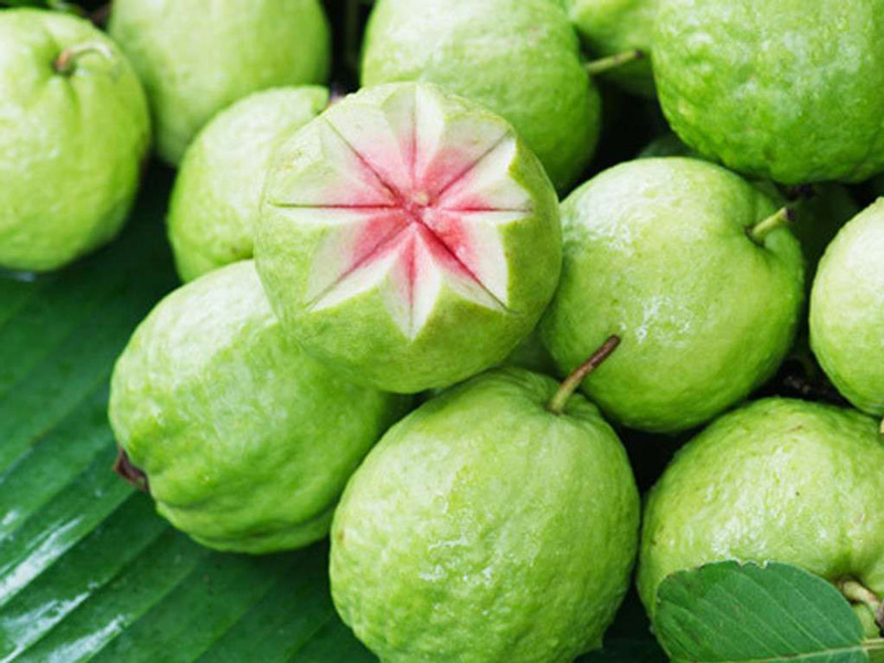 mẹ bầu ăn ổi có tốt không